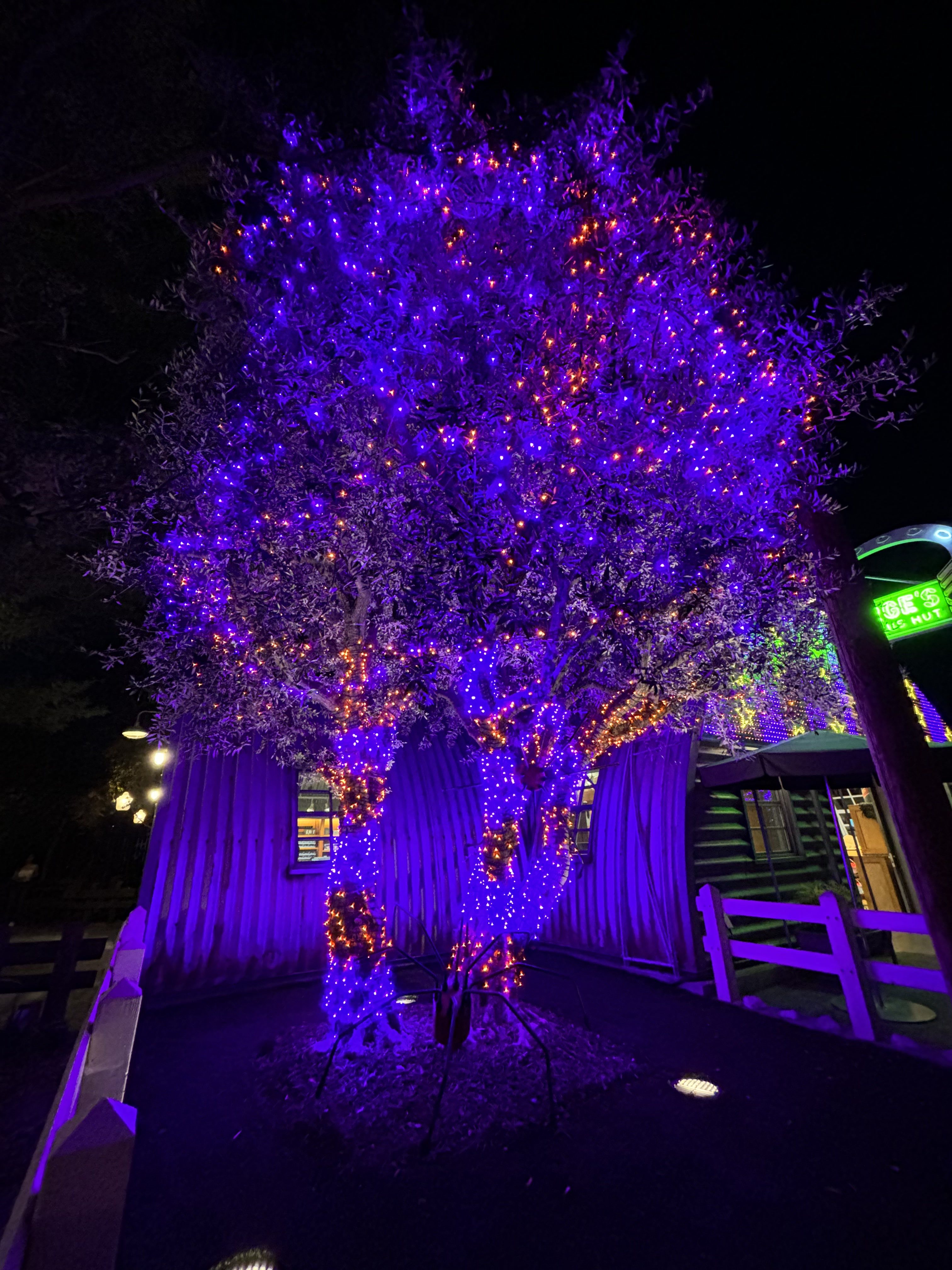 Tree in Cars Land in DCA with purple and orange lights taken with iPhone 15.